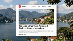 Como as Rodovias Viraram Ameaça à Biodiversidade e Impactam o Consumo dos Carros Modernos
