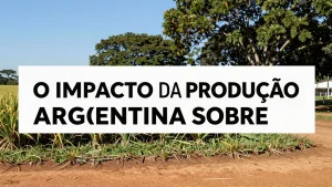 O impacto da produção argentina sobre os preços no Brasil: um cenário complexo